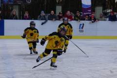 hokej_20191221_1244724161