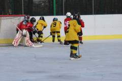 hokej_20191221_1409044431