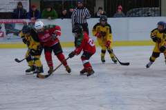 hokej_20191221_1630662882