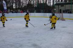 hokej_20191221_1679338559