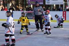 hokej_20191221_1802378794