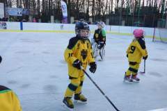 hokej_20191221_2037156938