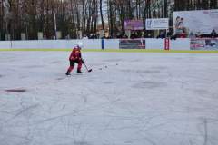 hokej_20191221_2076995296