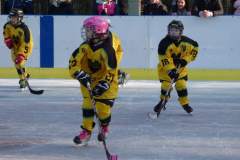 hokej_20191221_2089243696