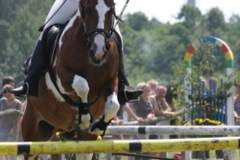 zjpbm_3_20130507_1528542293