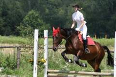 zjpbm_9_20130507_1654316973