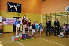zawody_w_akrobatyce_sportowej_o_puchar_dyrektora_mosir_22_20130508_1638424846